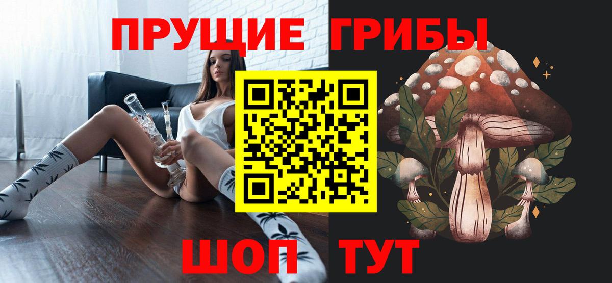 ГАШ Томск