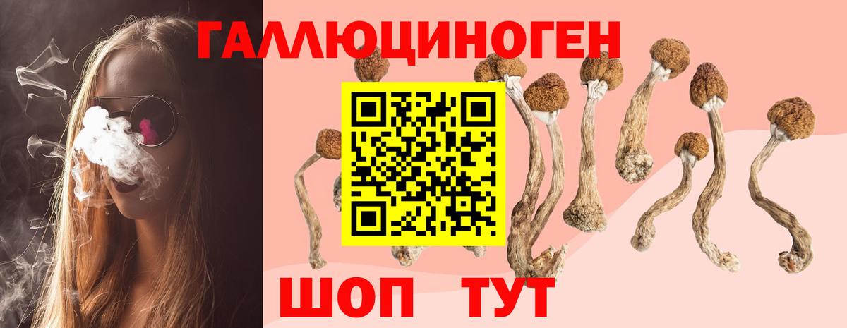 Галлюциногенные грибы Cubensis  Галлюциногенные грибы Cubensis  Вход с VPN  Томск 